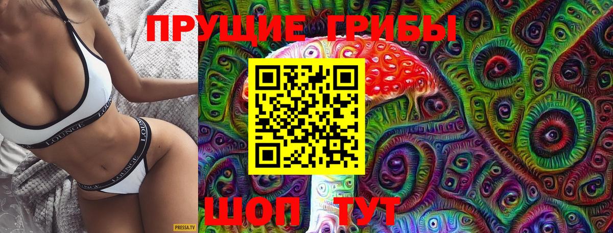 Галлюциногенные грибы Psilocybine cubensis Краснознаменск